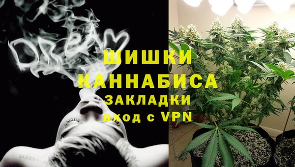 молекула духа Балахна