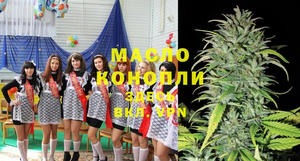 молекула духа Балахна