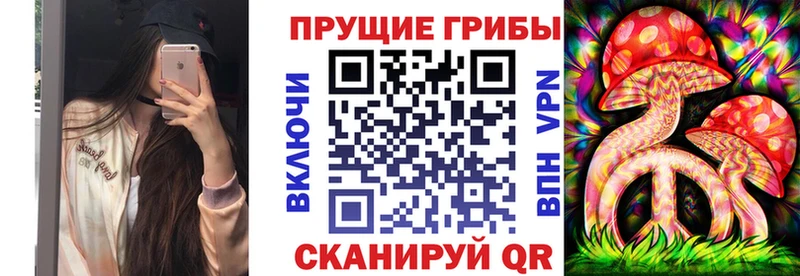 купить  сайты  Славск  Псилоцибиновые грибы прущие грибы 